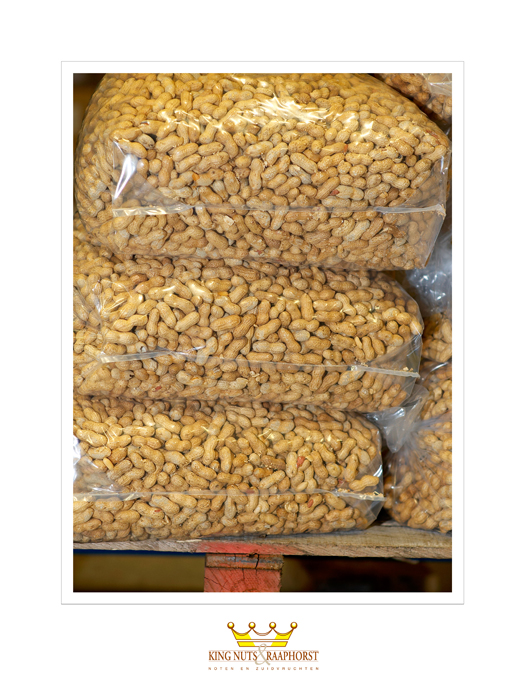 King Nuts 02