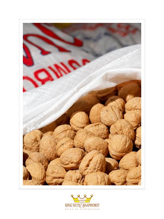 King Nuts 03