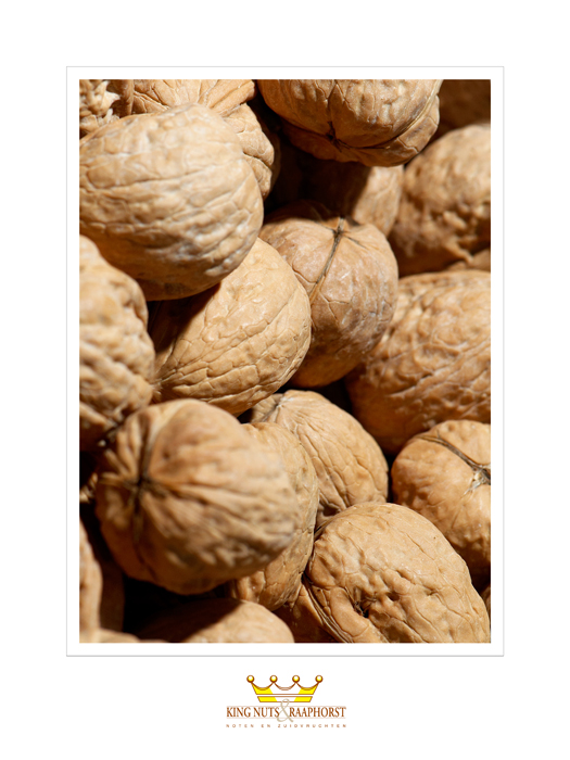 King Nuts 04