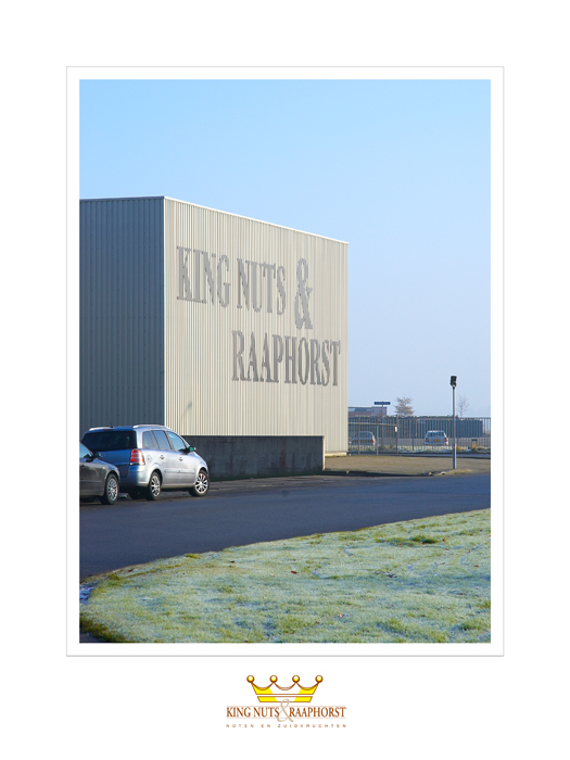 King Nuts 07