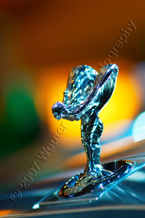 _DSC6013