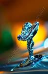 _DSC6013