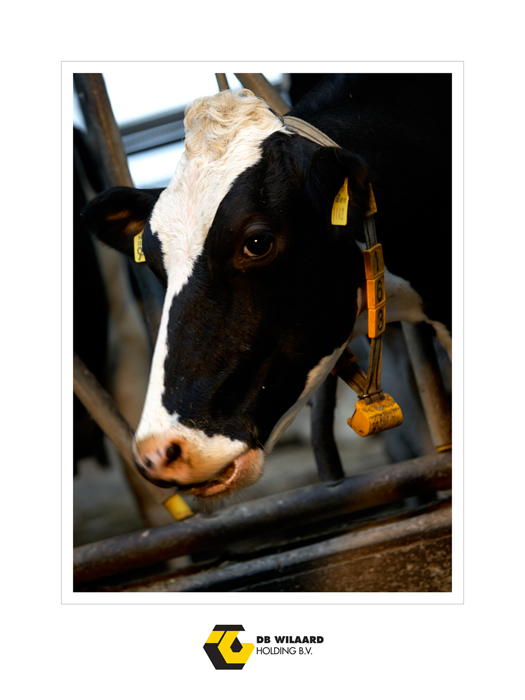 Wielaard 07